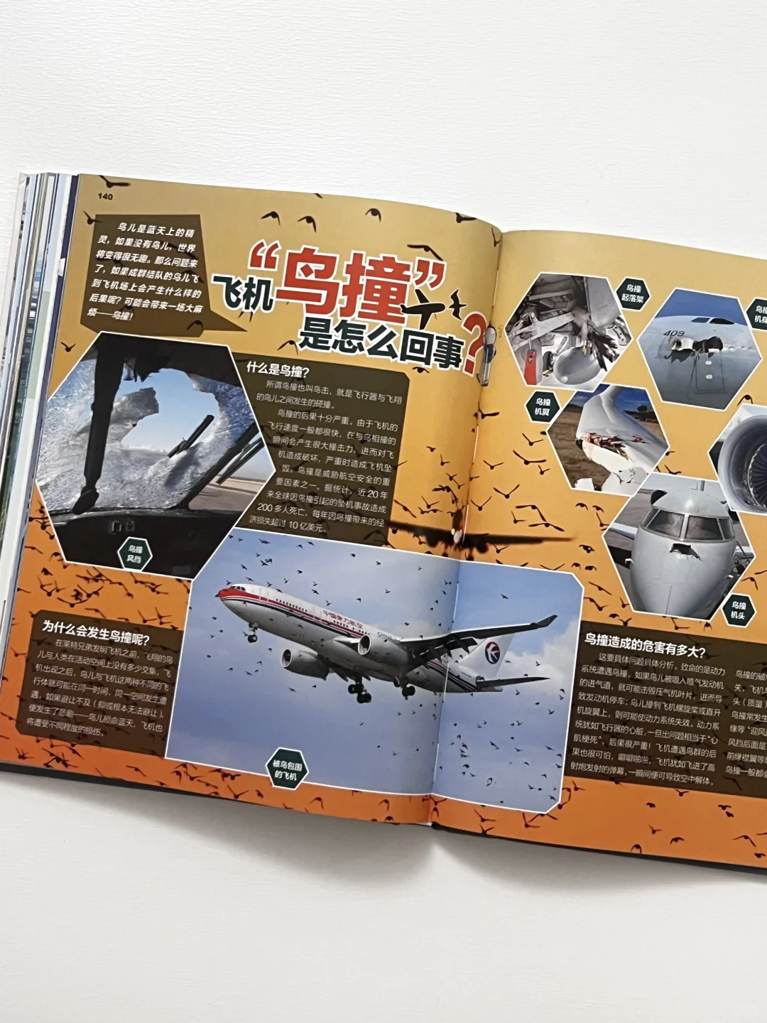 一本让大小朋友都上瘾的飞机百科！?