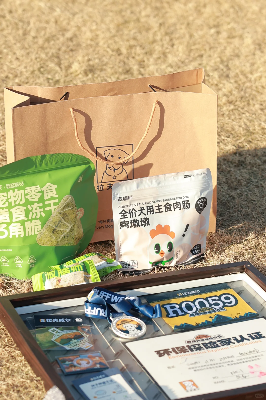 带狗净山被拉夫威尔狠狠圈粉!!