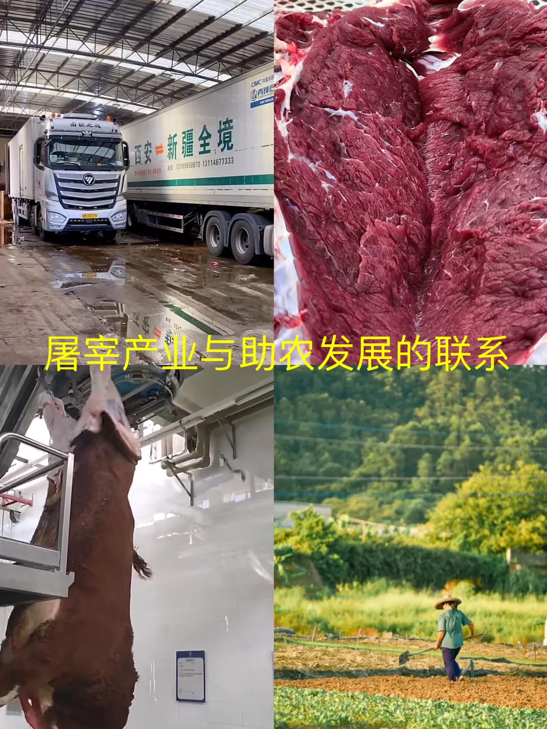屠宰产业与助农发展之间的关系.