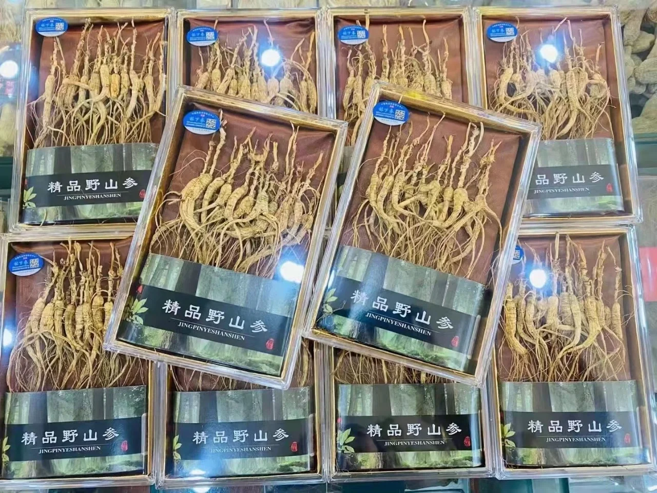 林下籽
