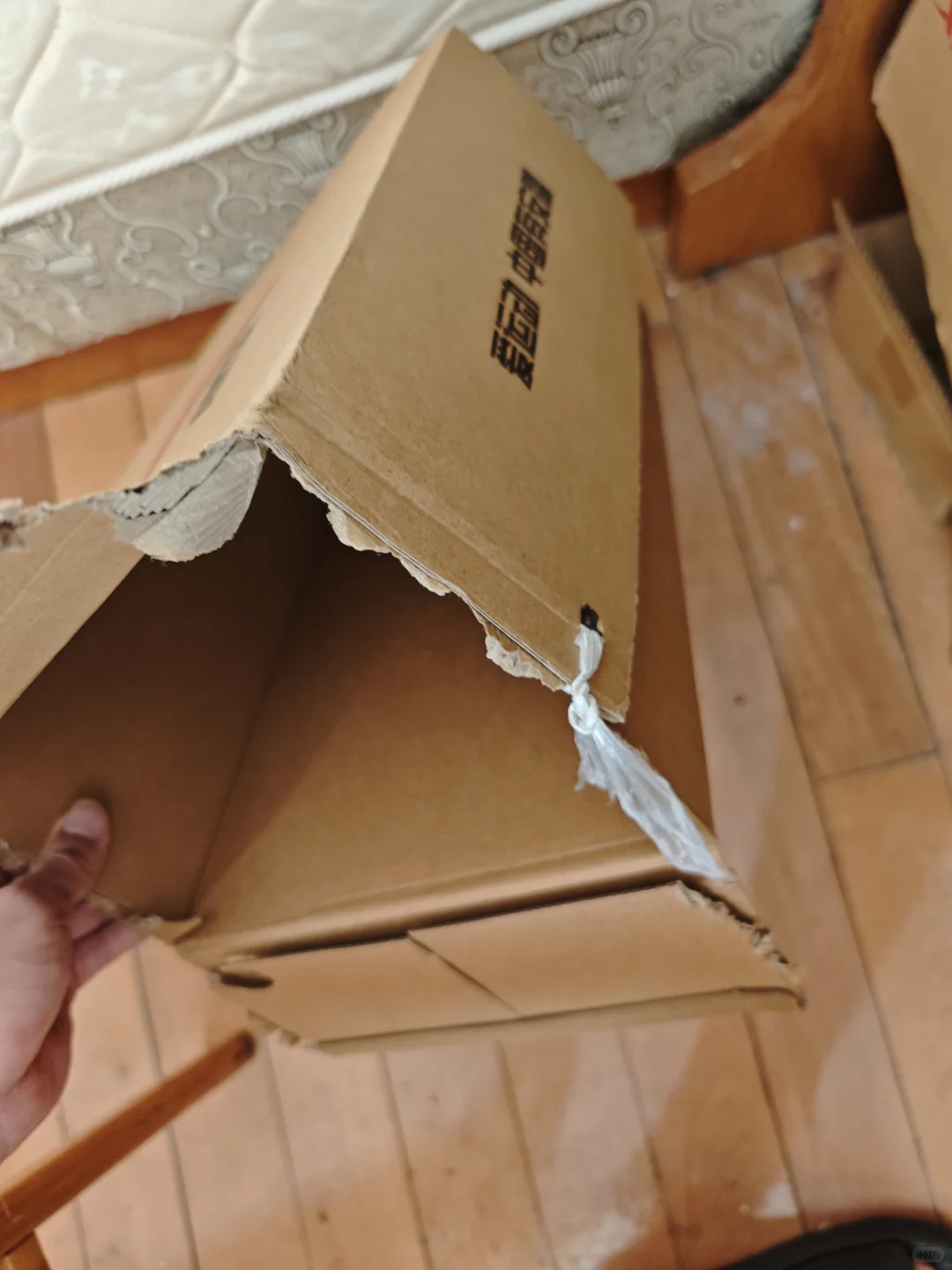 普通鞋盒制作垃圾桶！