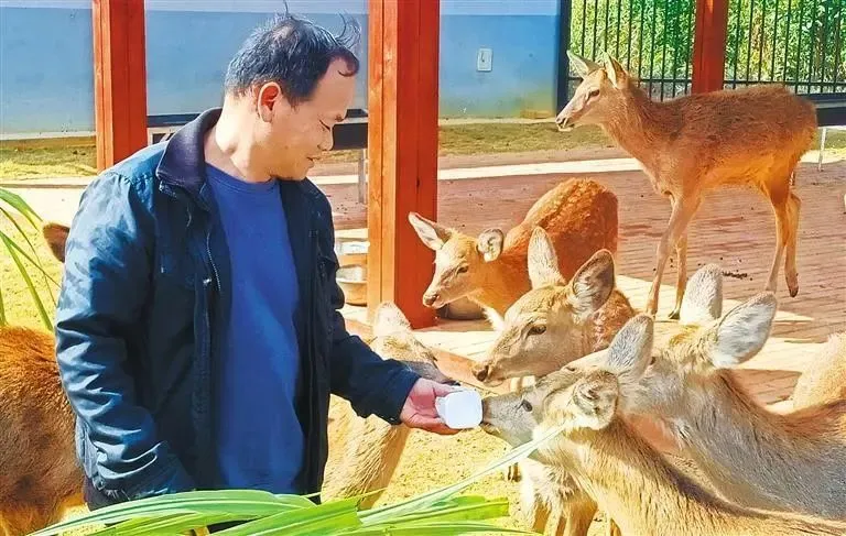 林下生金