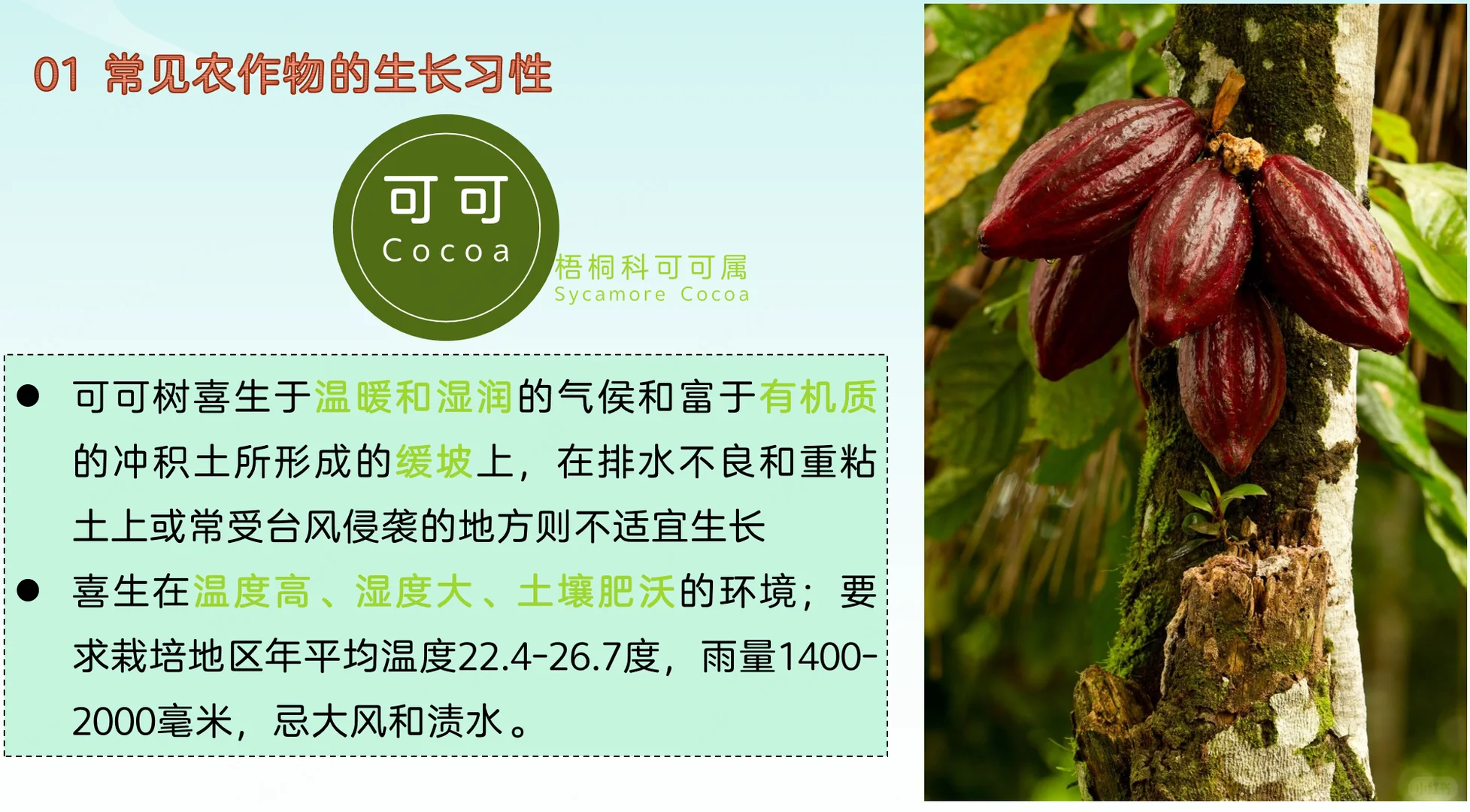 地理热点：常见农作物的生长习性