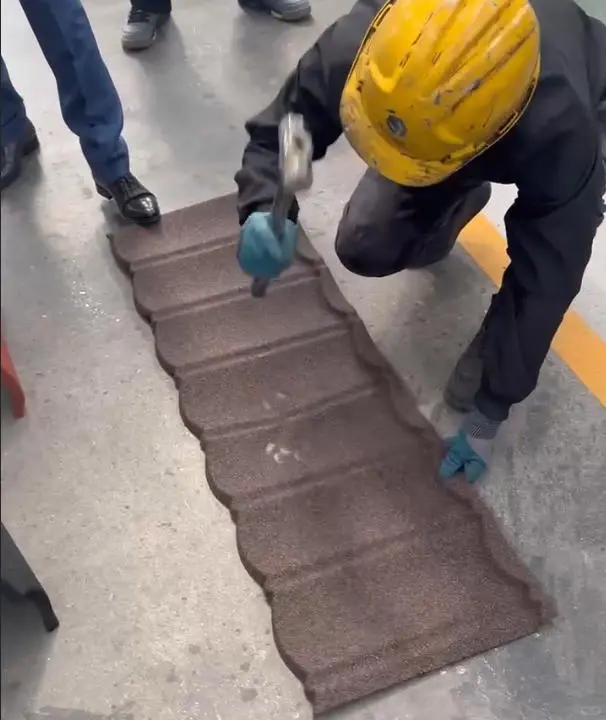 谁懂啊家人们！哈萨克斯坦友人来彩麟工厂了