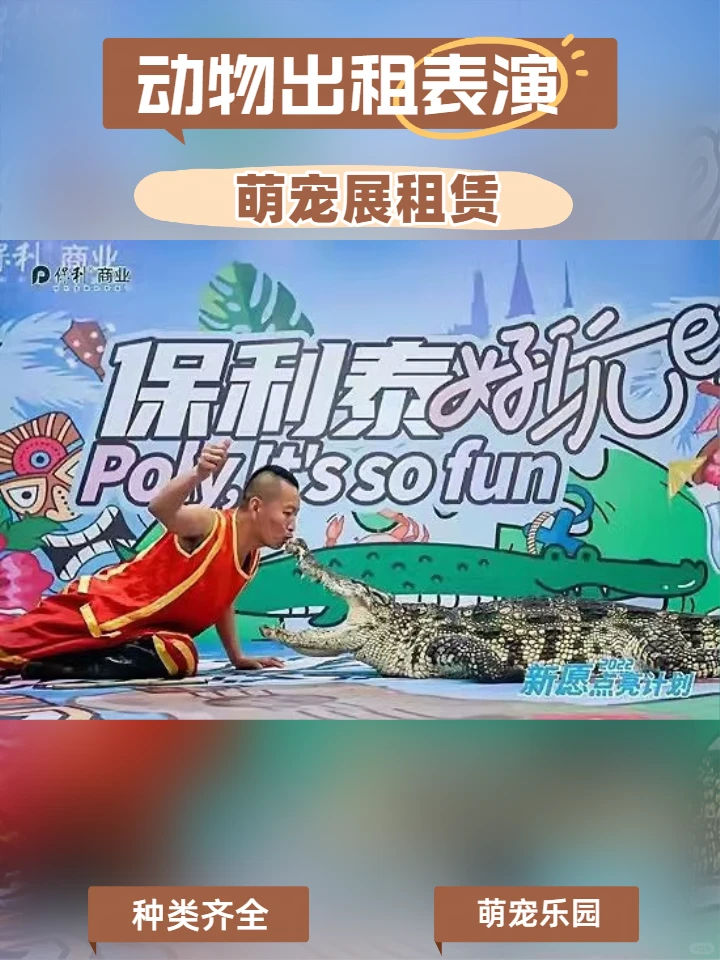 云浮企业活动海狮表演长期合作