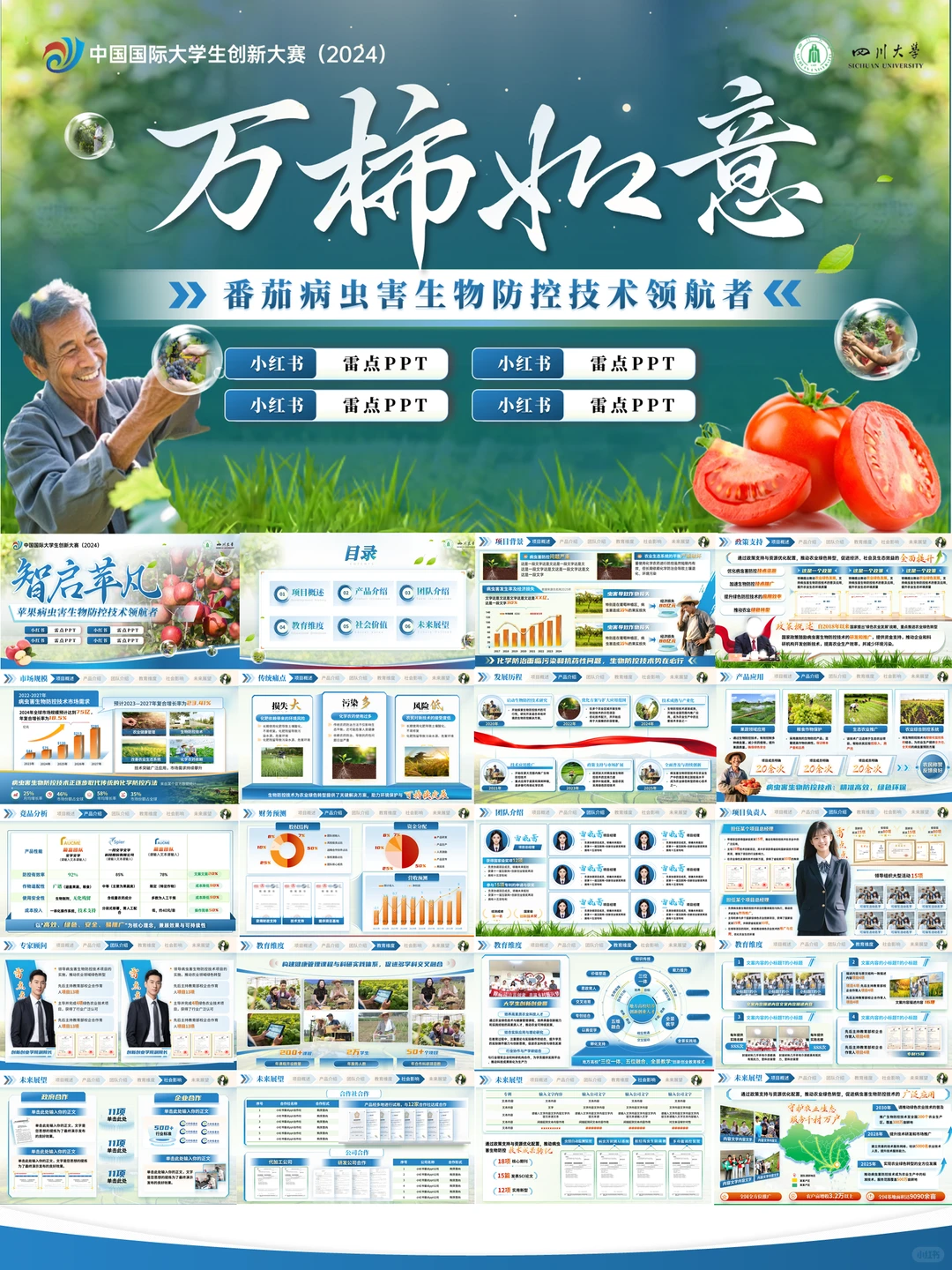 挑战杯农业类，葡萄种植等PPT模板?