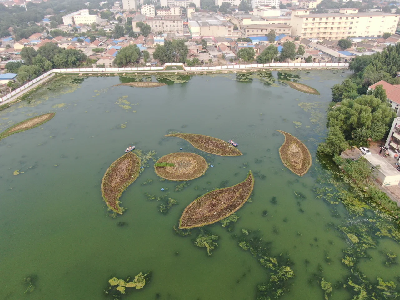 浮动湿地，让水质净化与生态美化同步实现