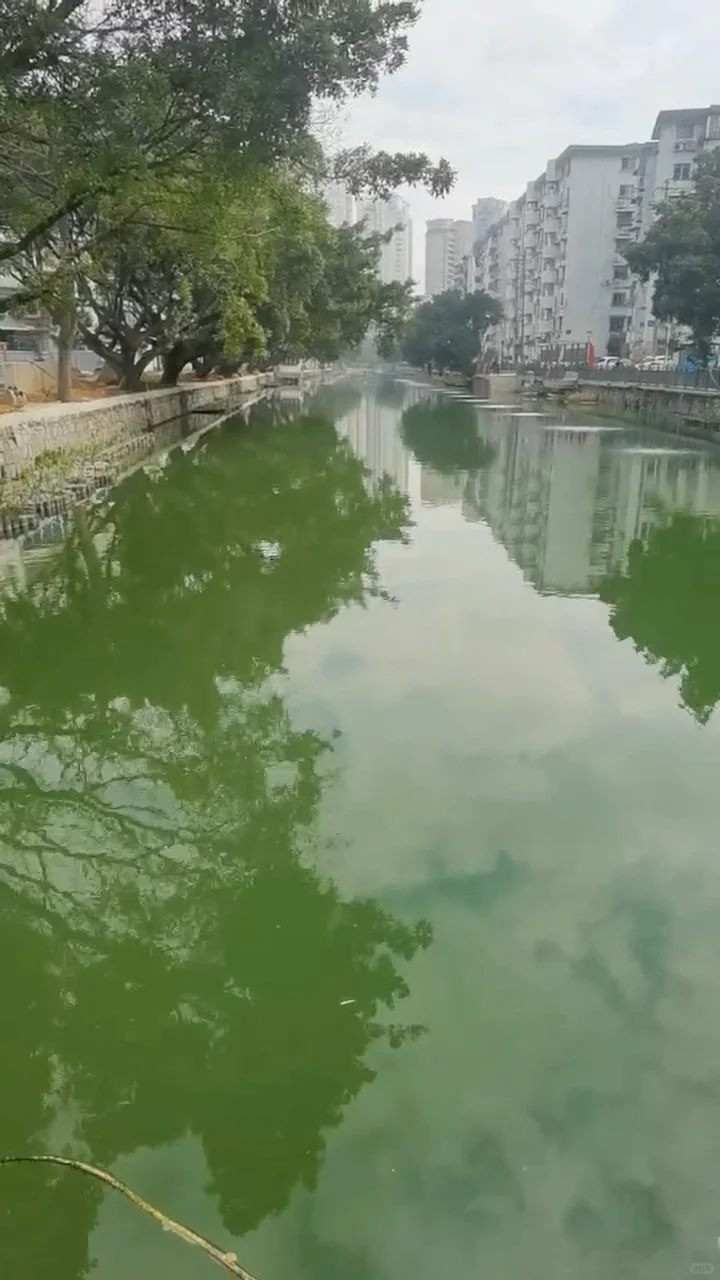 河道“闹脾气”？一键开启水质“救星”模式✨