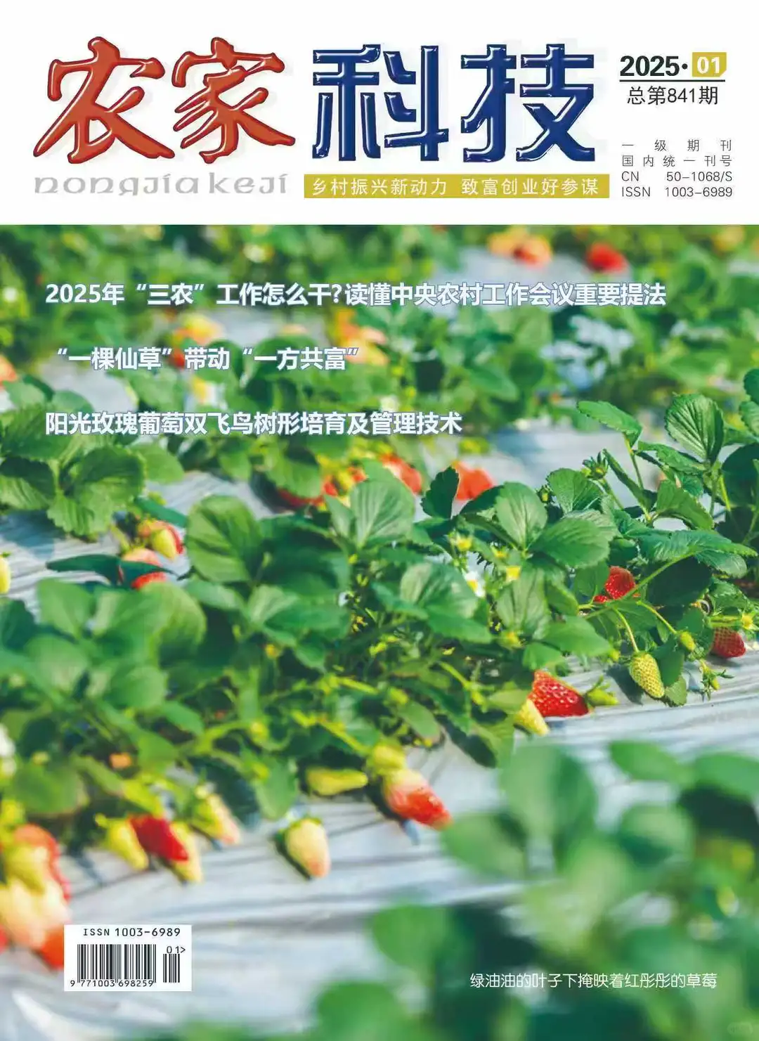 《农家科技》省级万方、维普双网站刊物