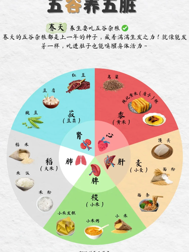 ?中式膳食结构|吃对食物不生病 。