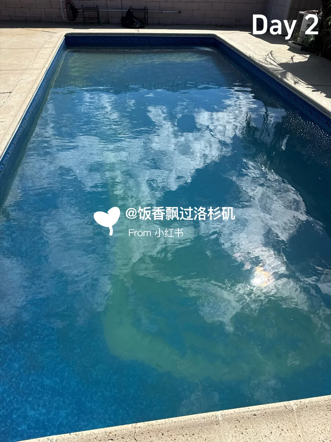 48小时泳池救活记|新手也能搞定绿汤水