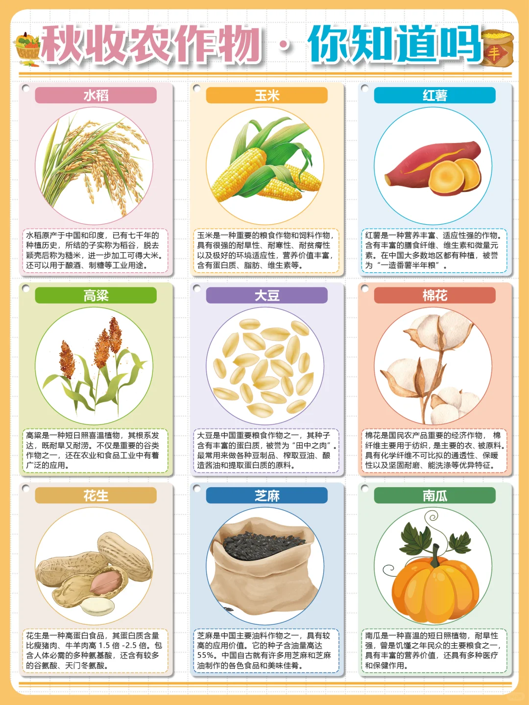 粒粒皆辛苦?让孩子了解丰收背后的故事