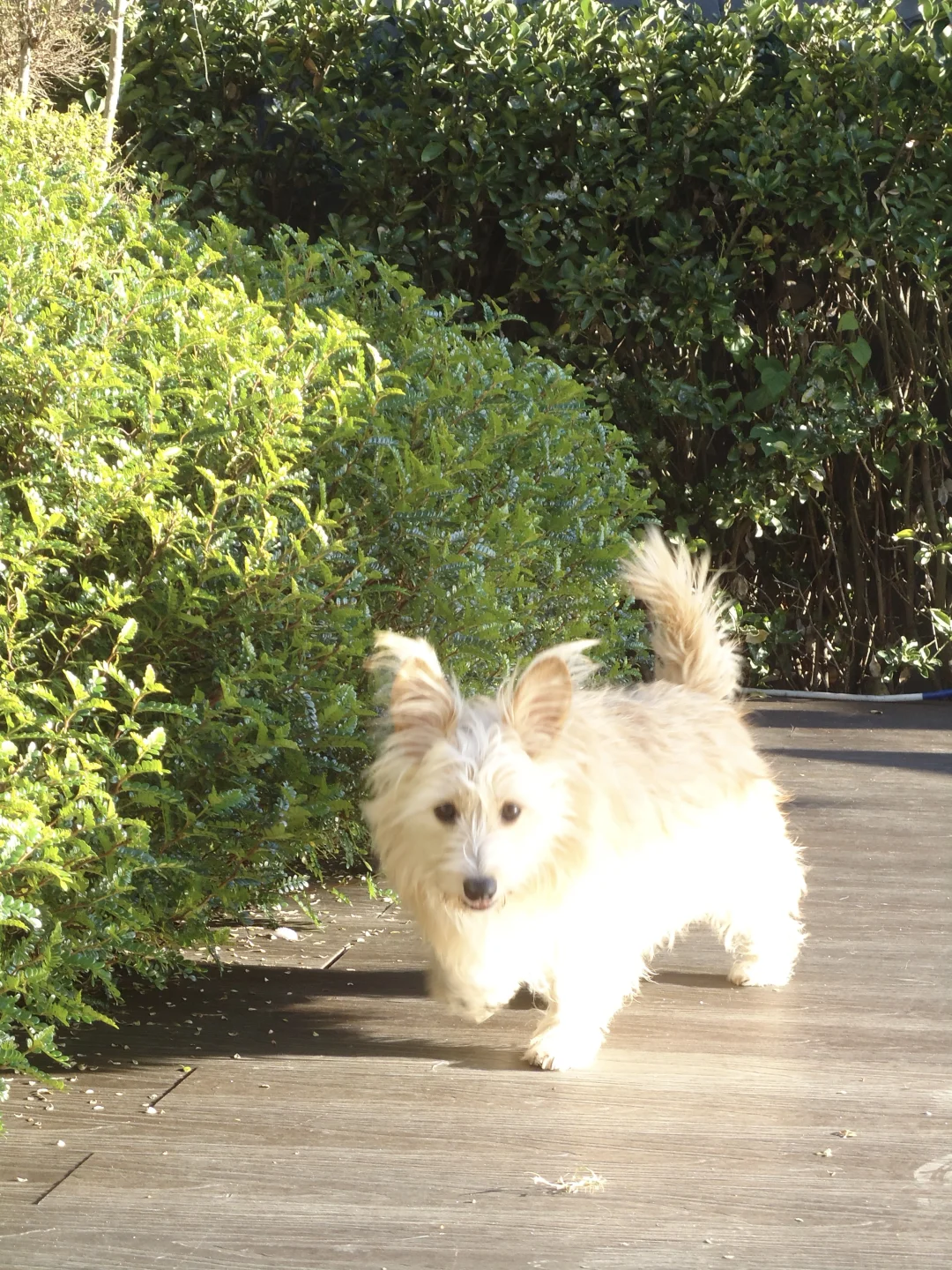 在大理发现了一家巨有性价比的山景咖啡厅