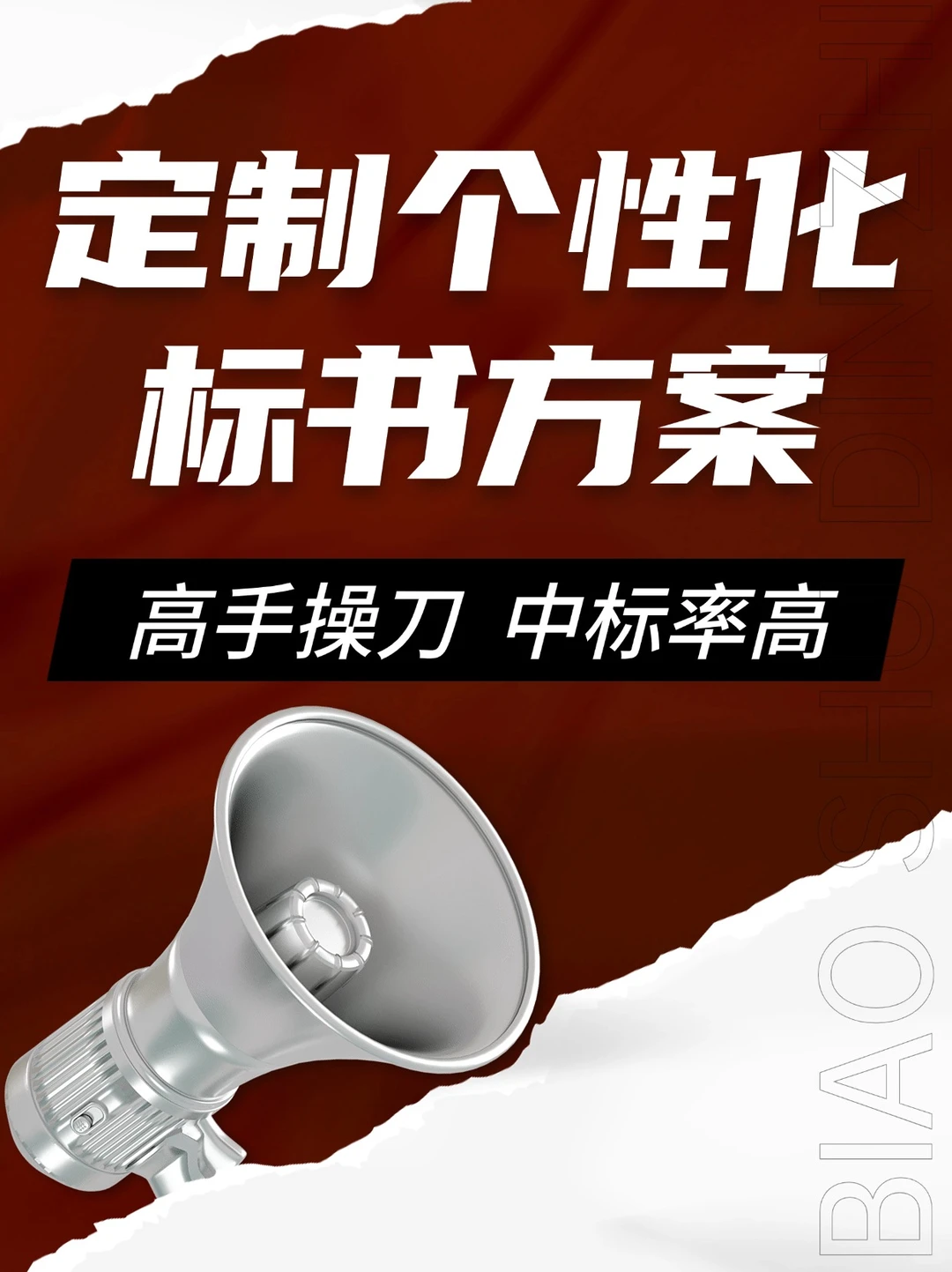 担心标书质量?来看这里的成功案例!