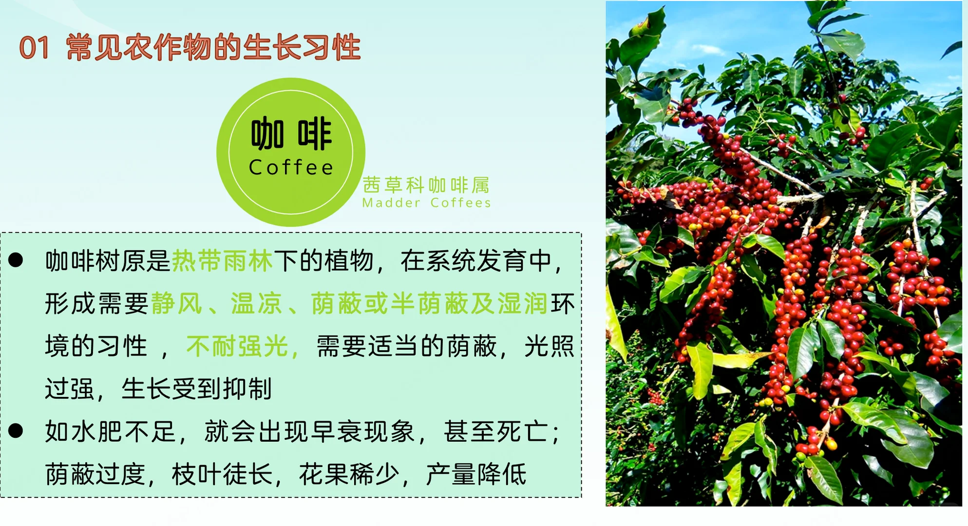 地理热点：常见农作物的生长习性