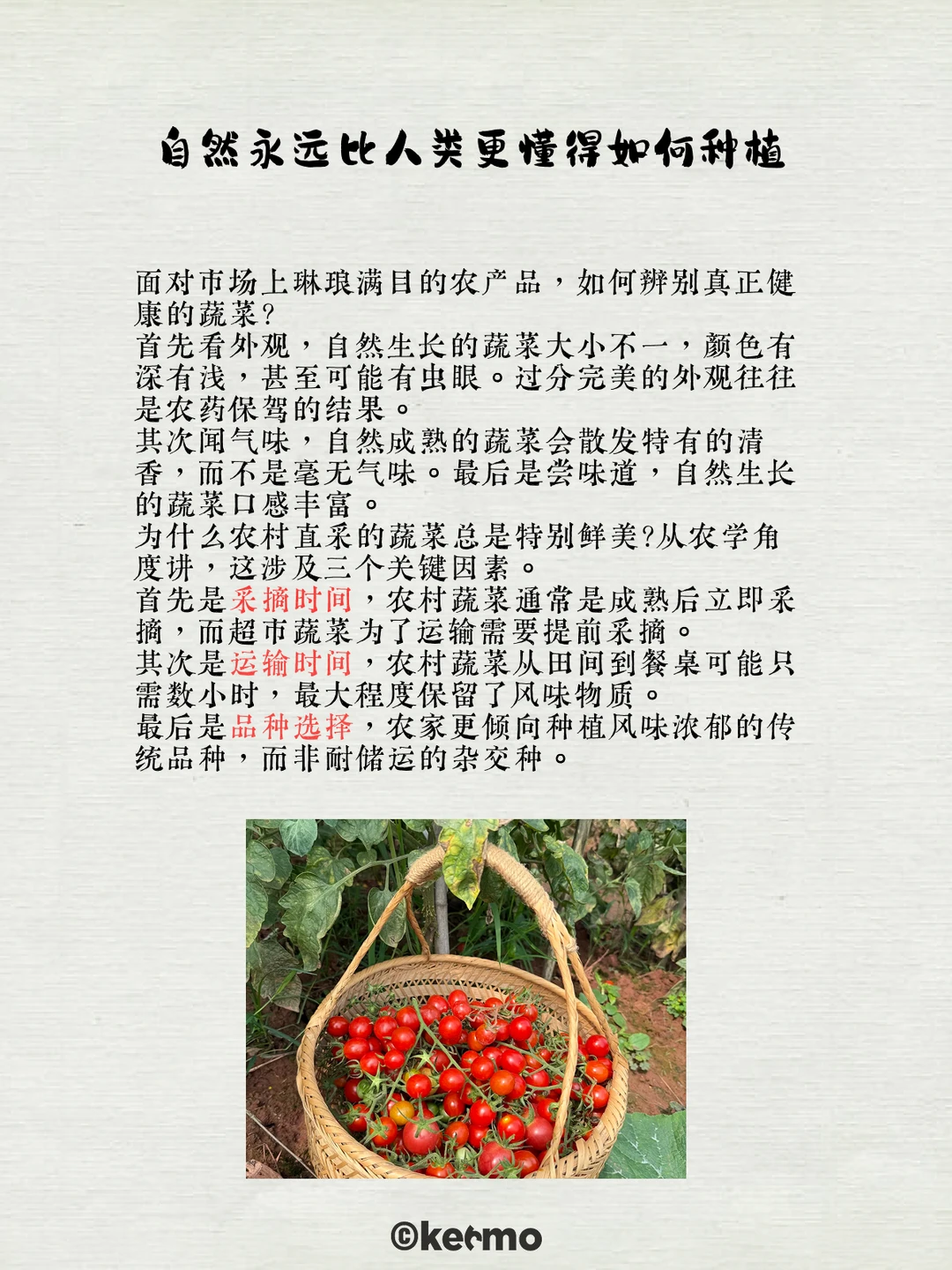 科默田间新系列-为什么农村菜更鲜？