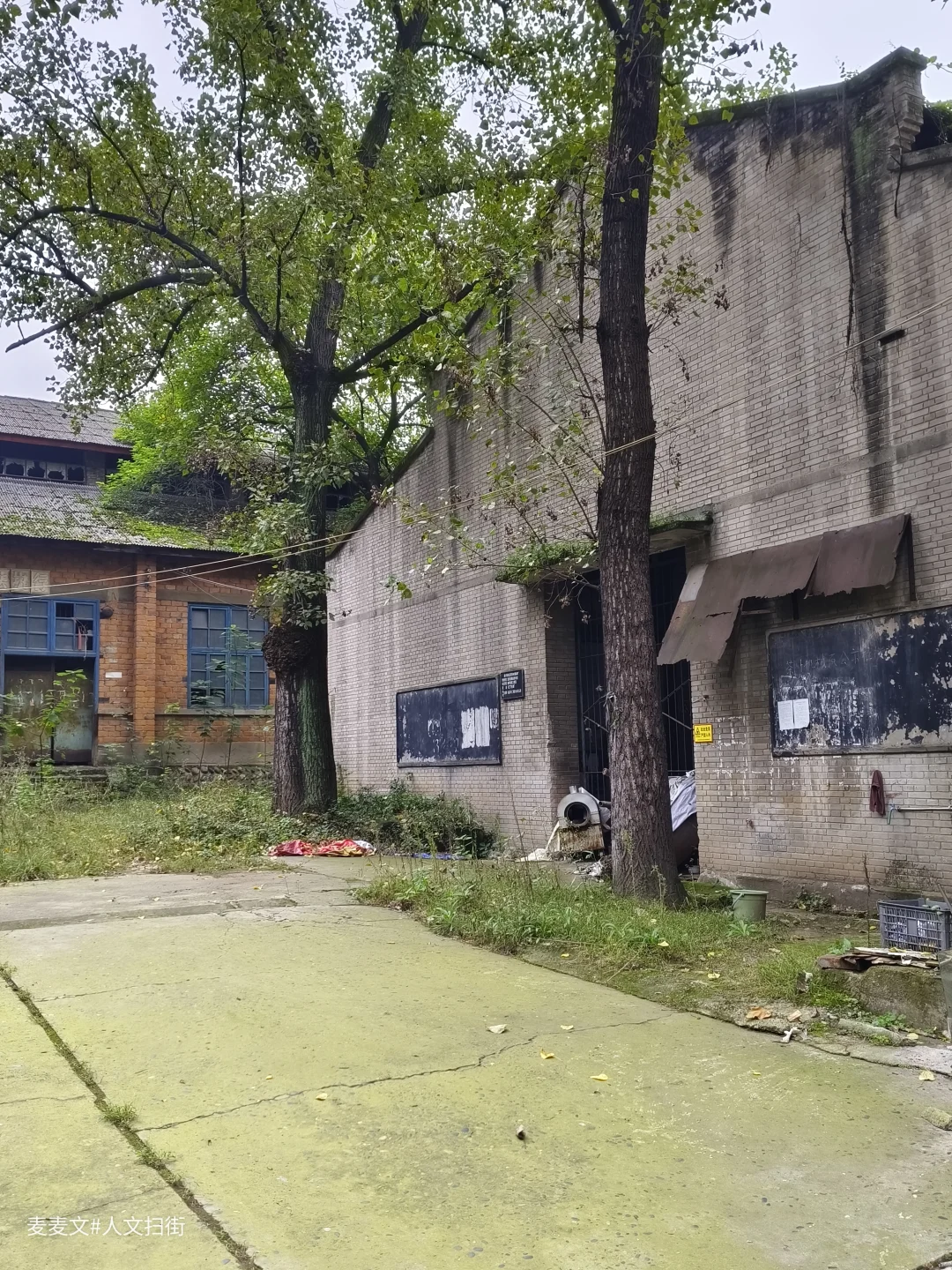 【江津】茶叶机械厂从热闹车间到寂静空院