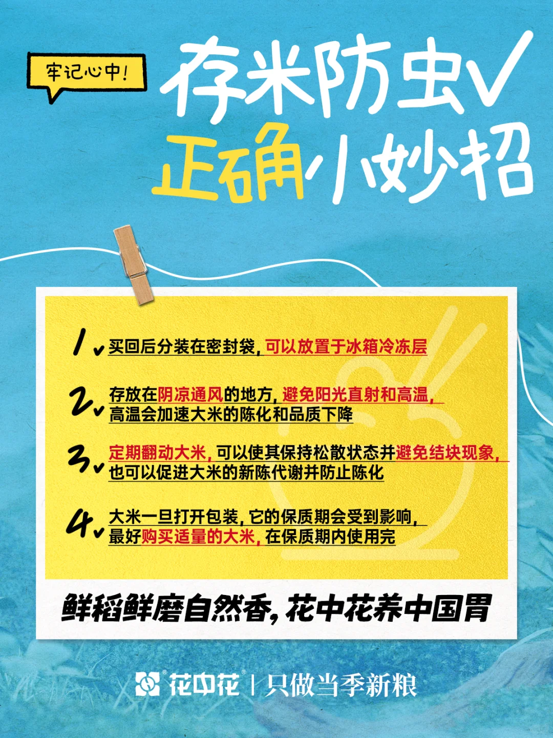 干饭人?过来 一篇教会你选出梦中情米！