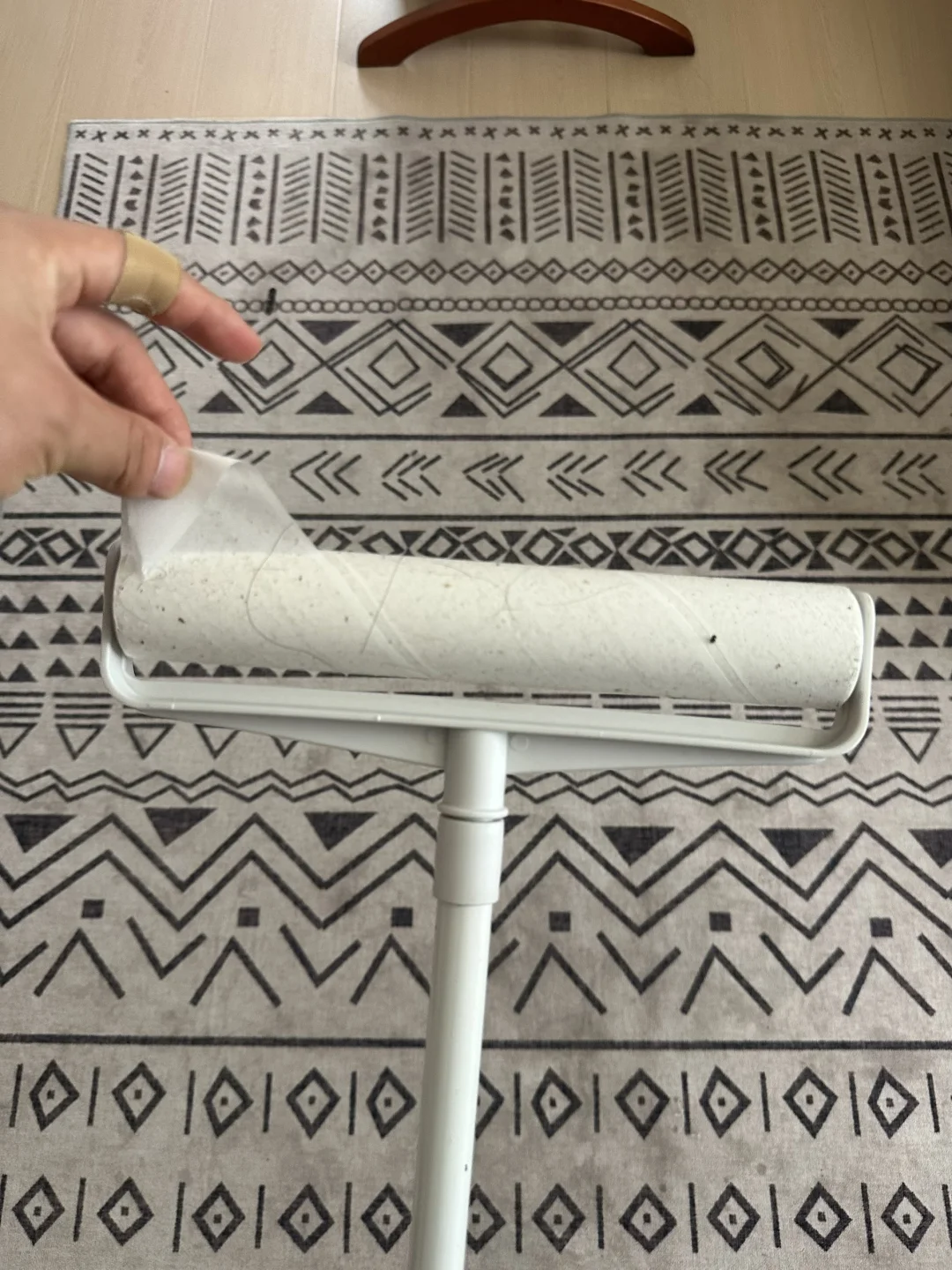 安利给大家一个清理地毯的实用工具！！！