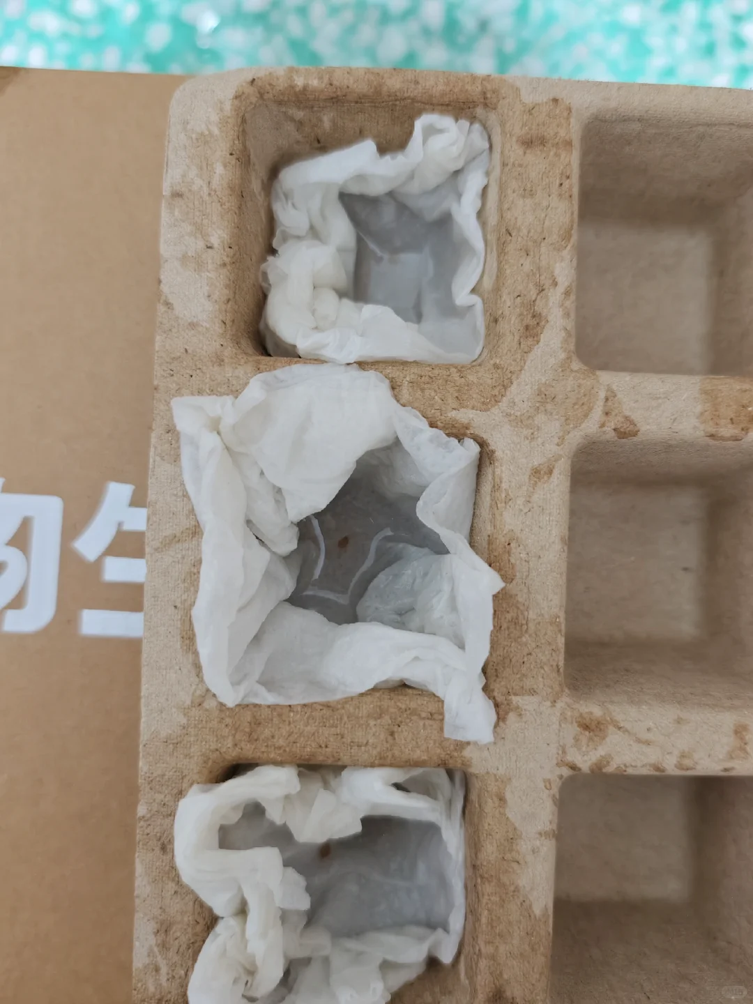 解锁在家种菜新乐趣，这套种植套装太绝啦❗