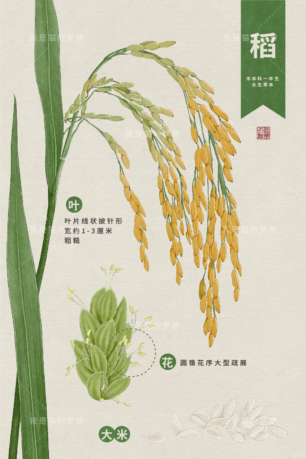 五谷来袭之【稻】【黍】【稷】【麦】【菽】（已独家）