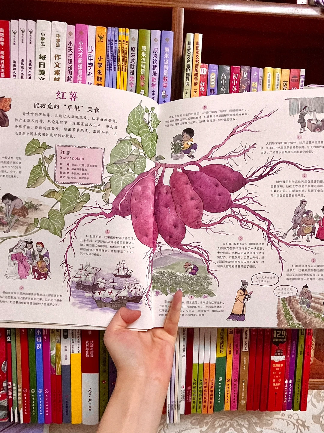 咋办呀！我真的沉醉在这绘本里了！命根子书！！