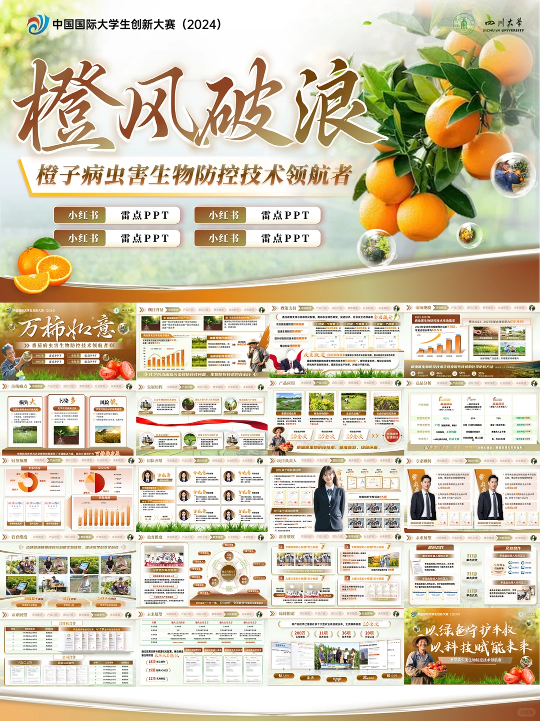 挑战杯农业类，葡萄种植等PPT模板?