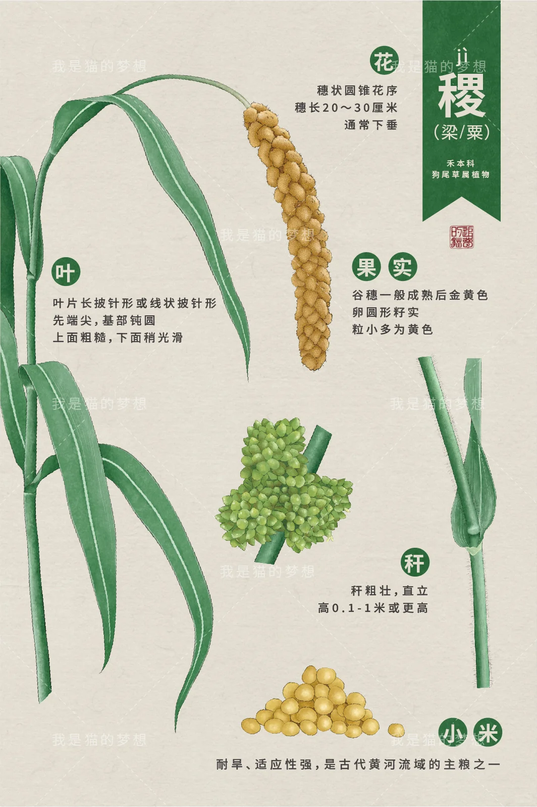 五谷来袭之【稻】【黍】【稷】【麦】【菽】（已独家）