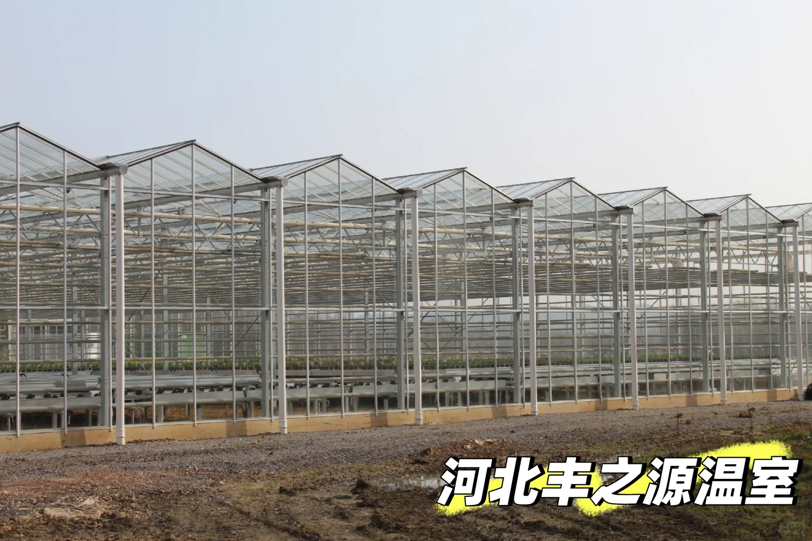 从0到1，见证一座玻璃温室的诞生