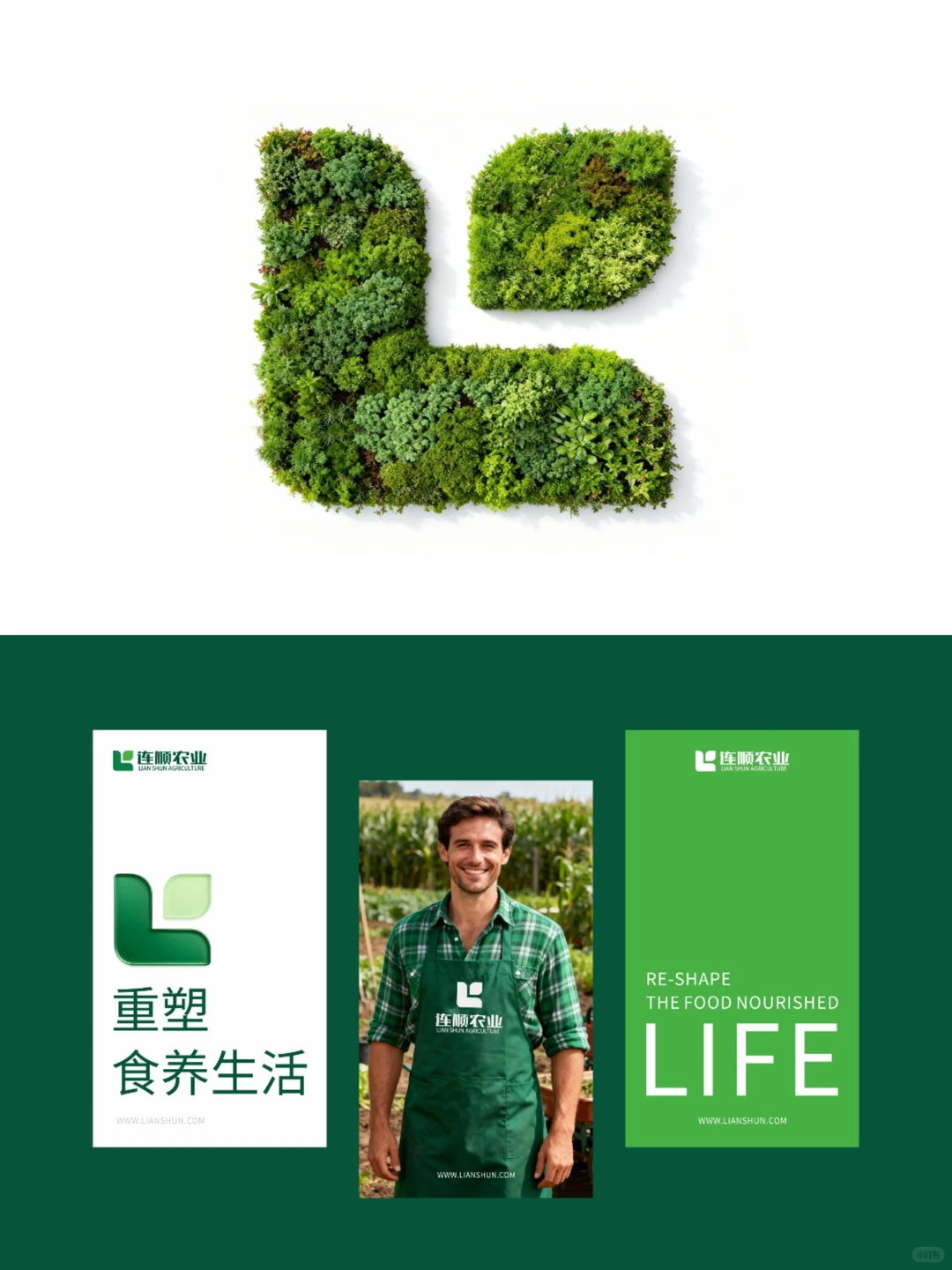 张家口连顺农业品牌设计