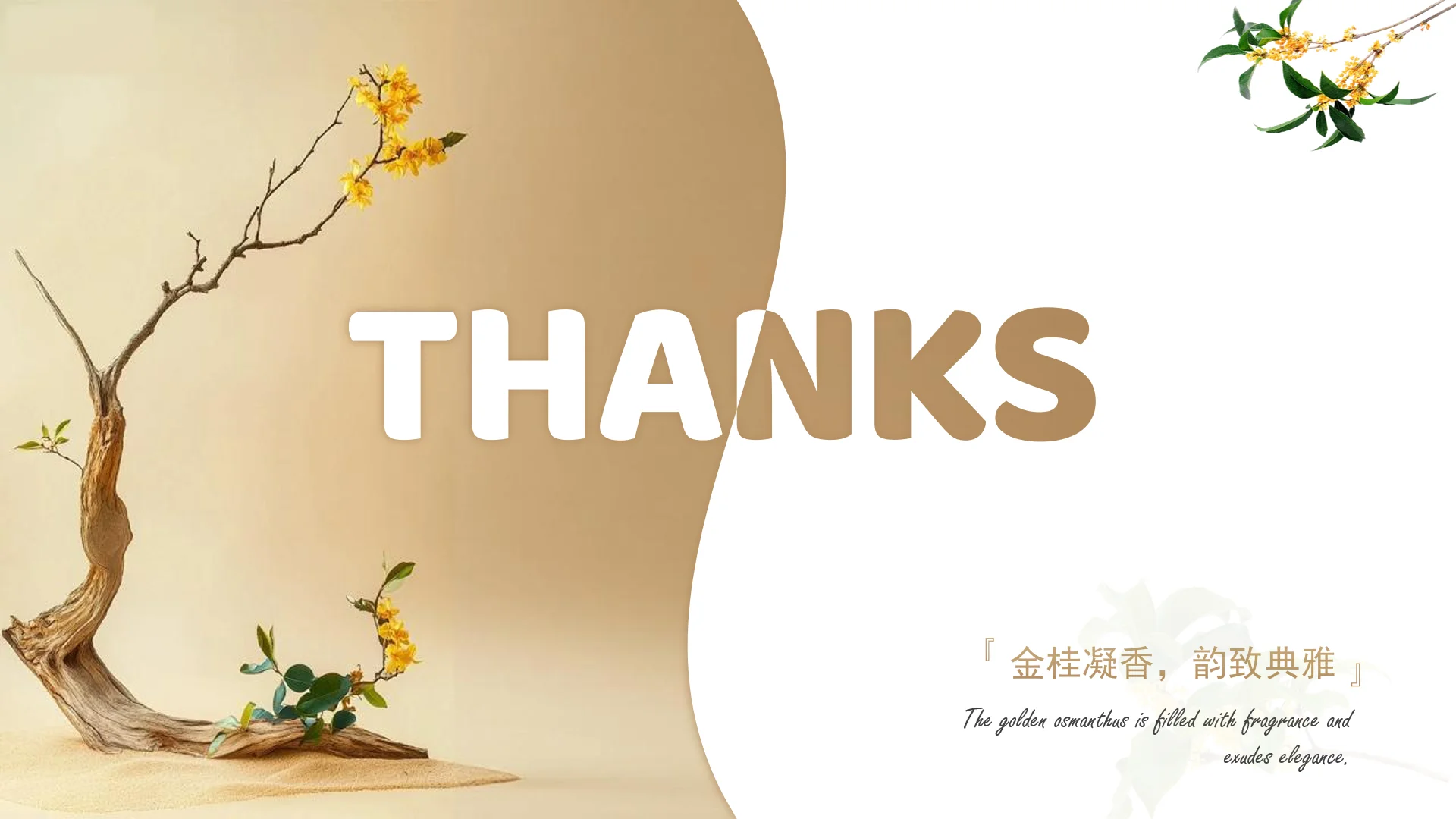 完善ppt技艺之沙漠守护神