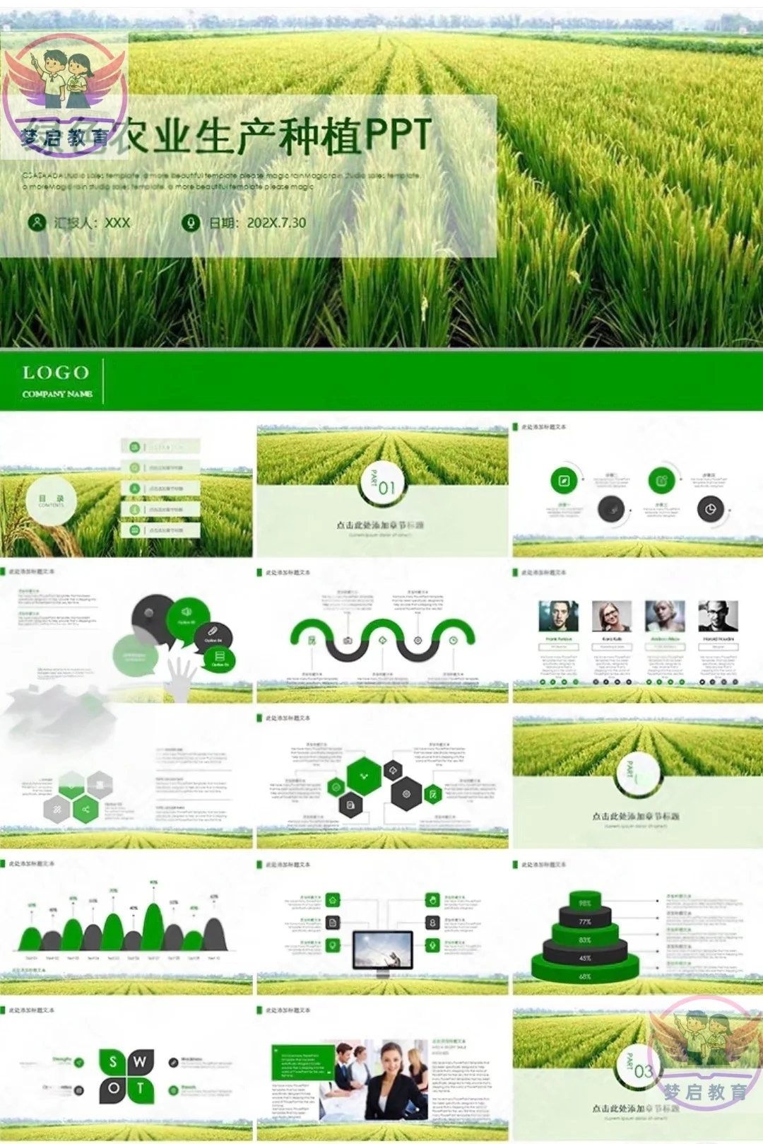 农业粮食77套PPT（粮食生产 五谷杂粮）