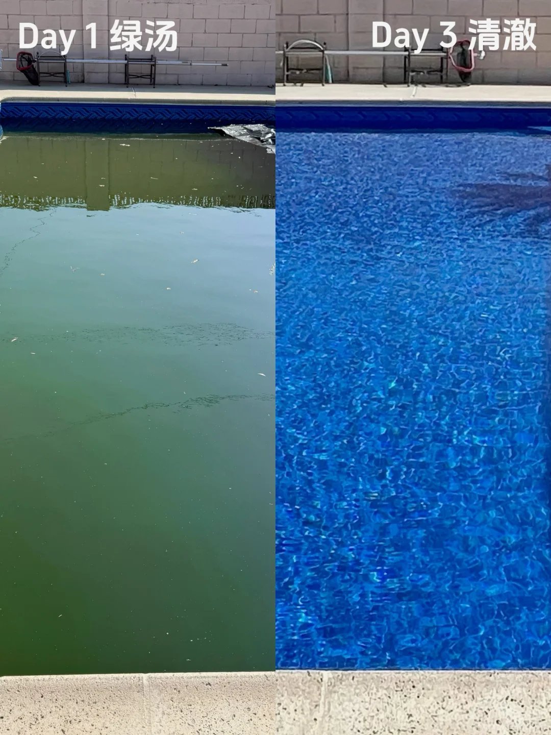 48小时泳池救活记|新手也能搞定绿汤水
