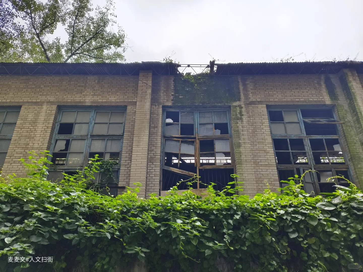 【江津】茶叶机械厂从热闹车间到寂静空院