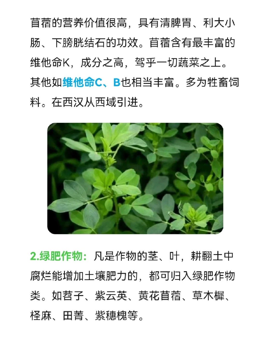 【公基常识】农作物的分类考点汇总