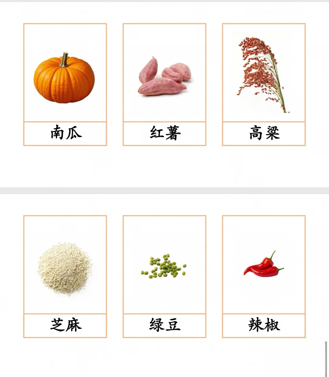 三段卡—秋天的农作物