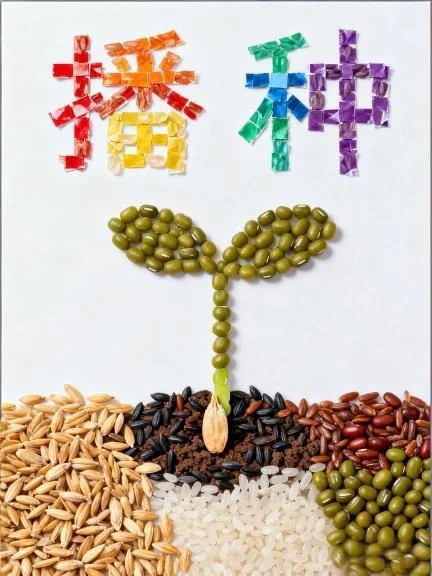 挑战五谷杂粮拼贴画596天|第45个世界粮食日