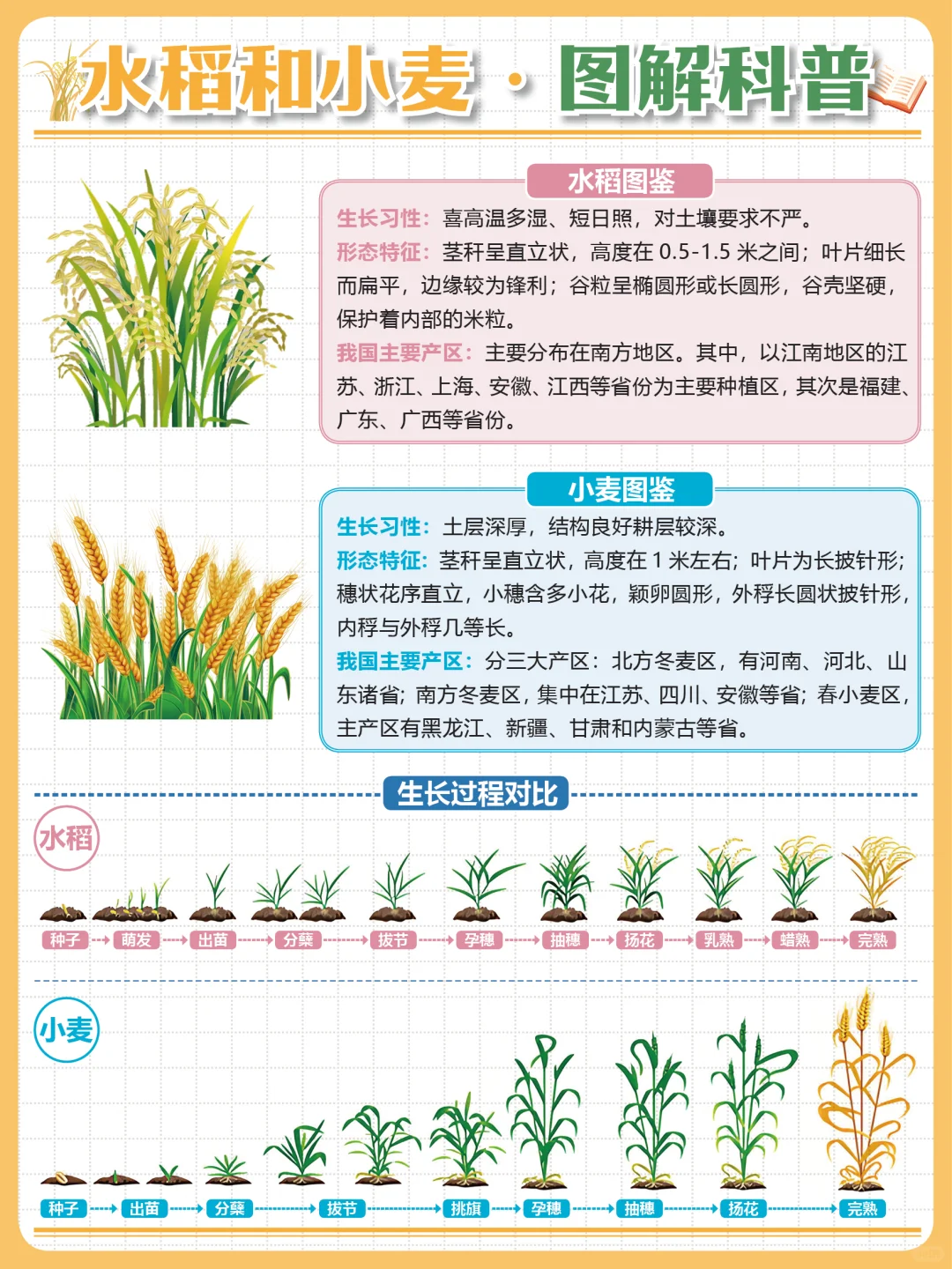 粒粒皆辛苦?让孩子了解丰收背后的故事