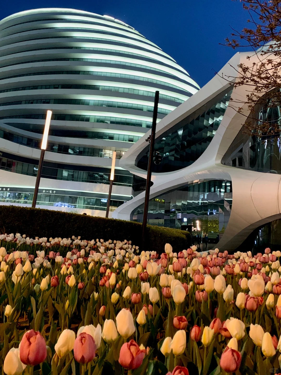 政府采购7️⃣种方式区分(详细版)