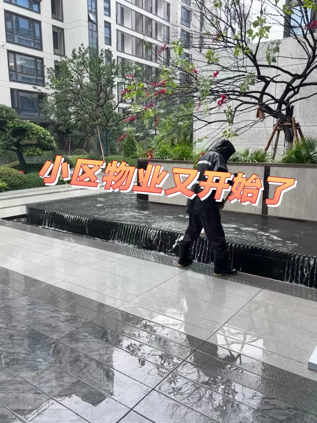 水系园林怎么打理啊