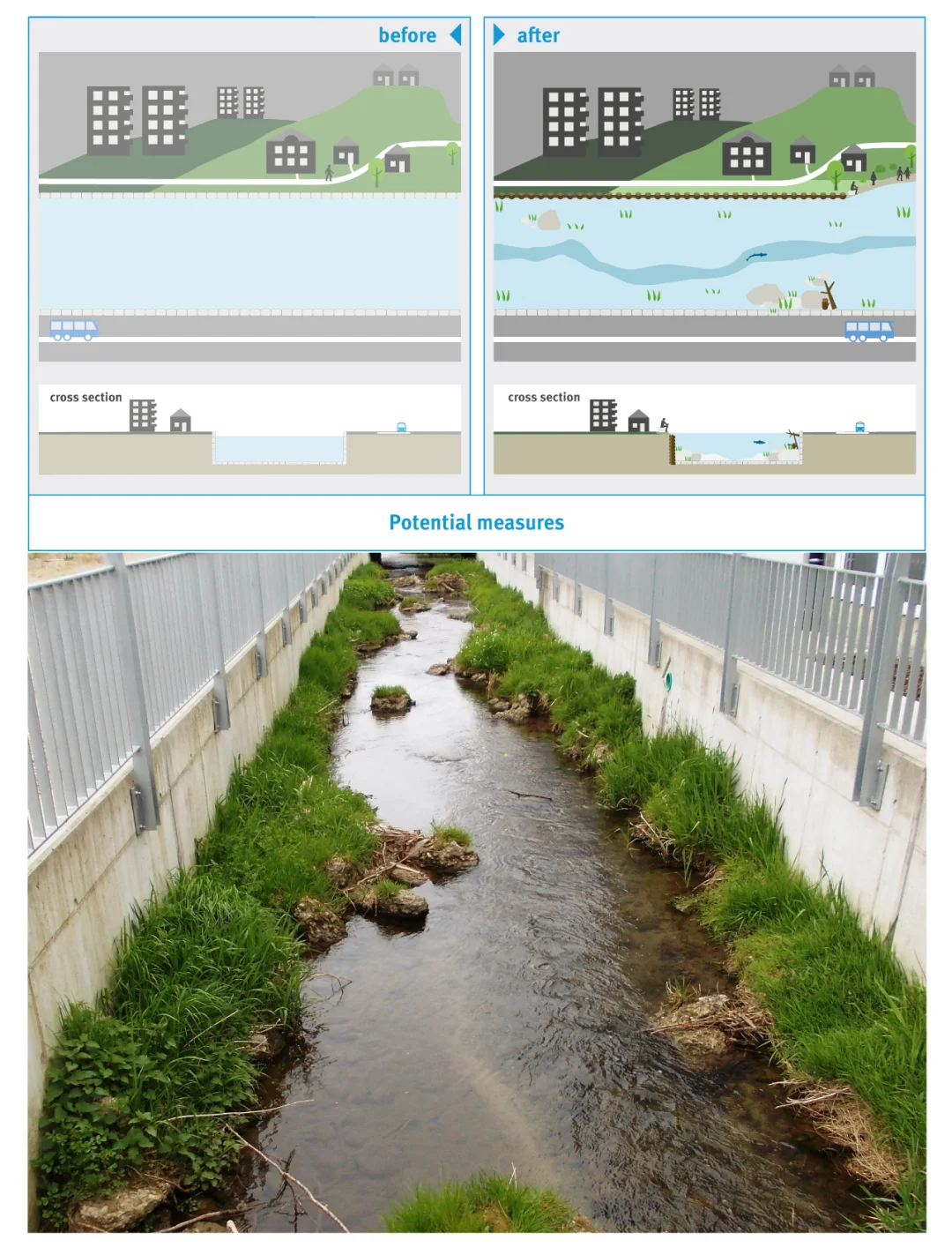 与水共舞：河流生态修复的美好愿景