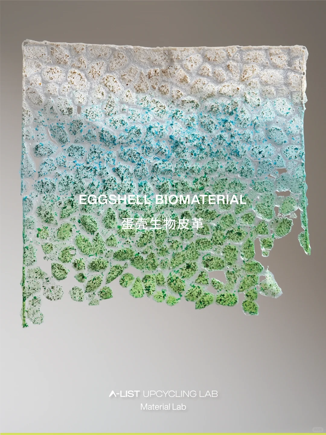 A-LIST｜材料实验室Vol.2 蛋壳生物皮革