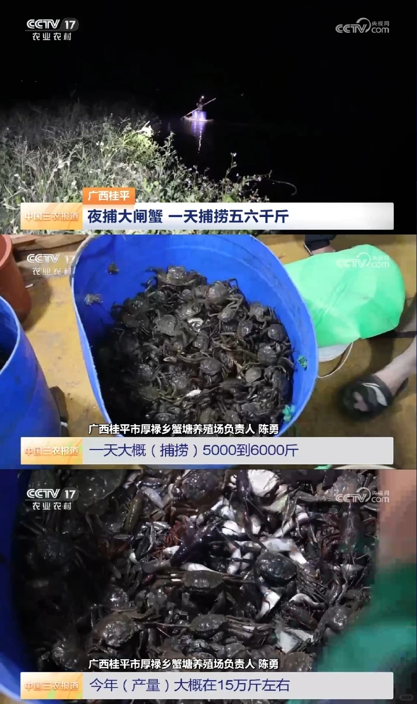 2025年8月1日农业新闻摘录。