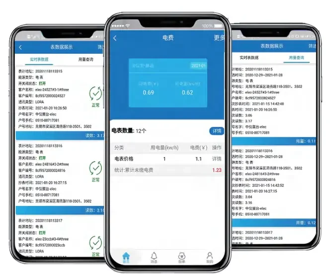 智能电能表的费用控制功能