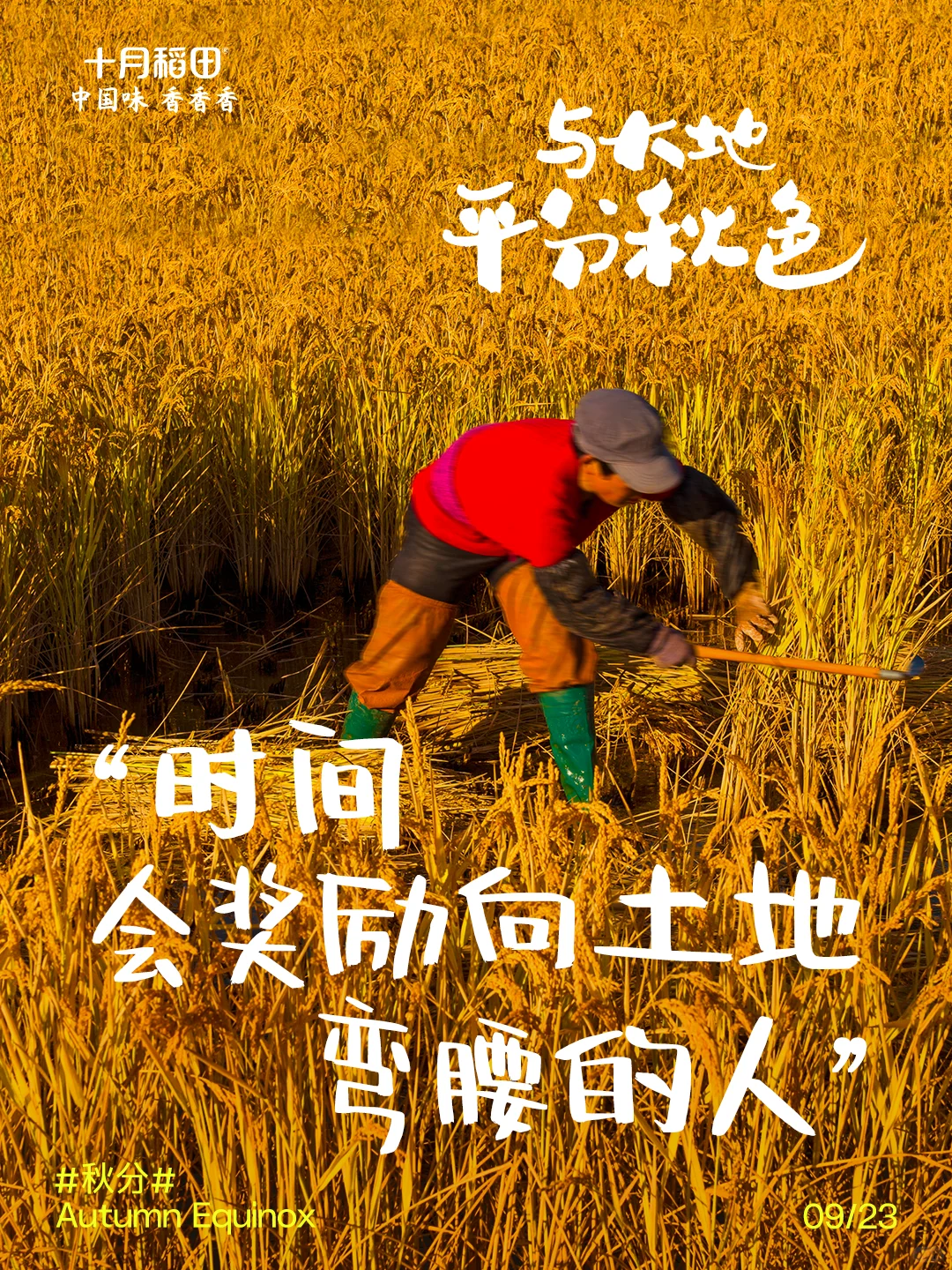 秋分丨粮辰吉日庆丰收?