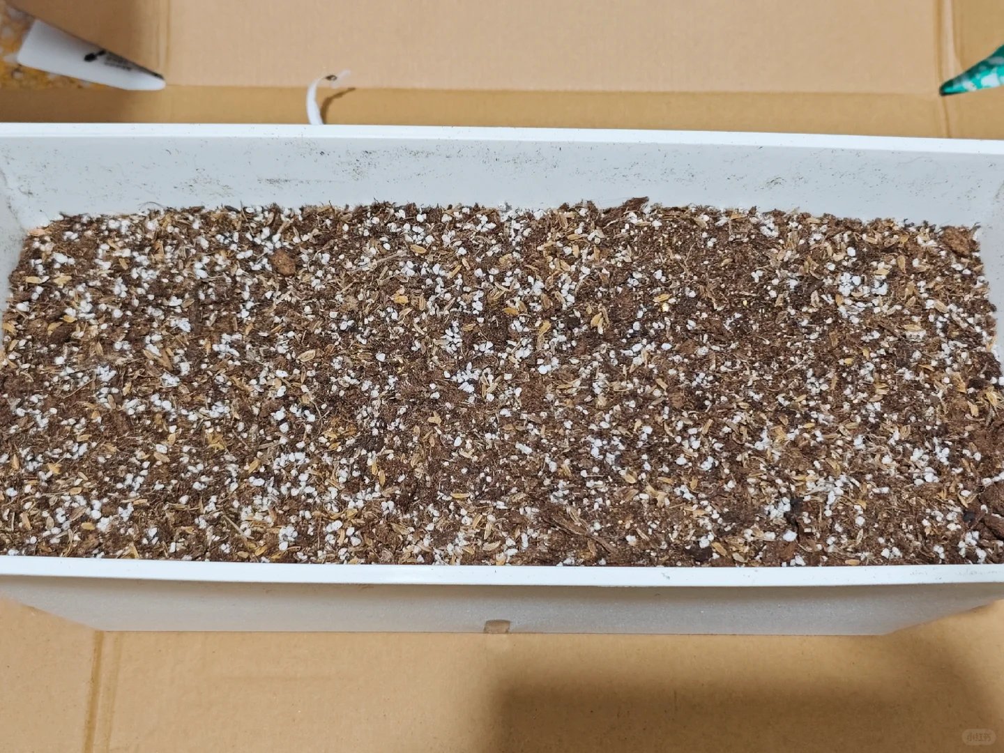 解锁在家种菜新乐趣，这套种植套装太绝啦❗