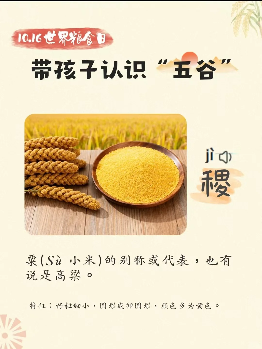 带孩子认识“五谷”