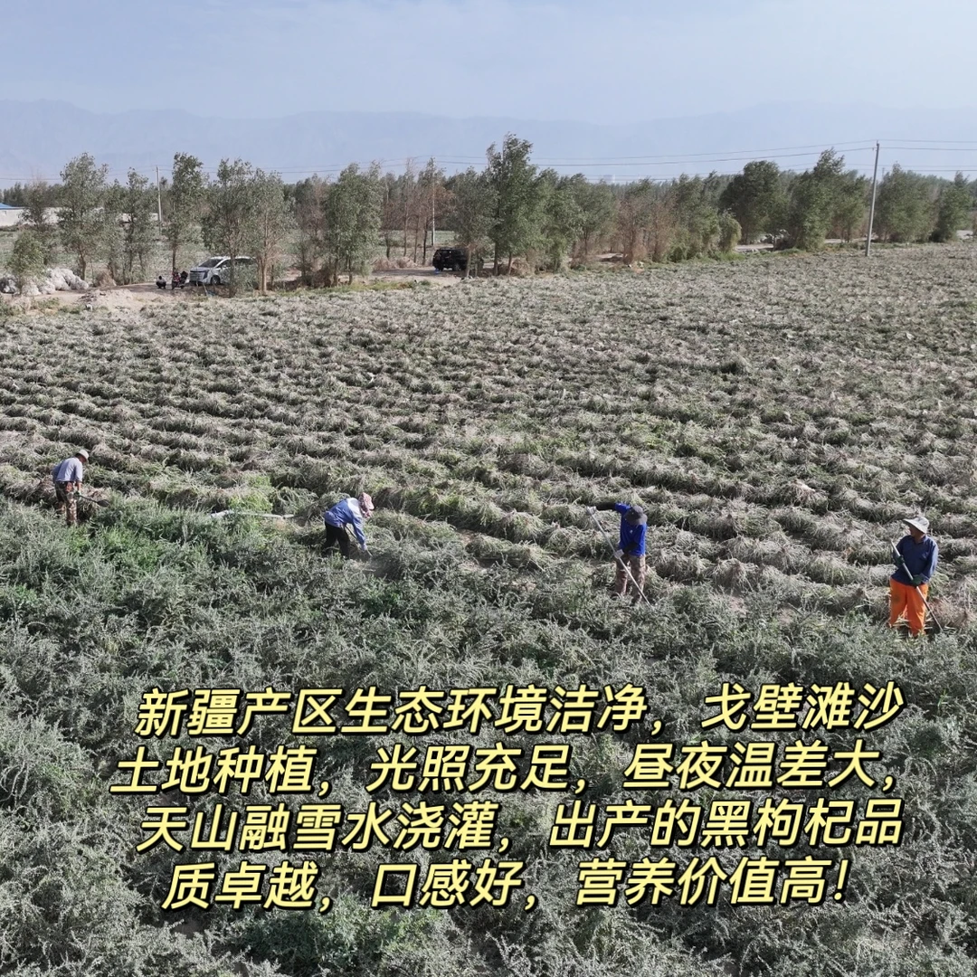 姐妹说喝了几天，眼睛?都变清了！！?