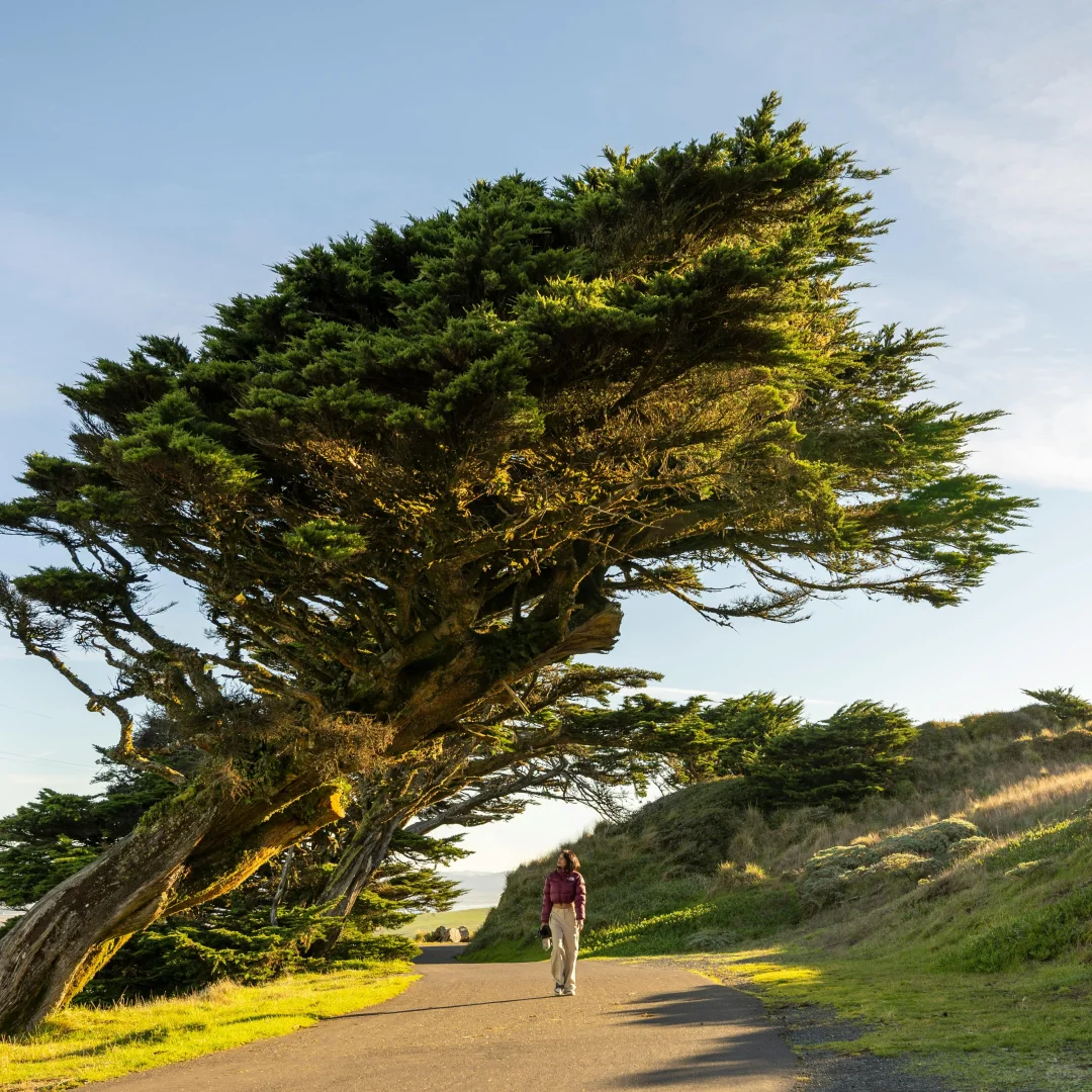 巴哈马“黄金港口”｜拿骚 Nassau