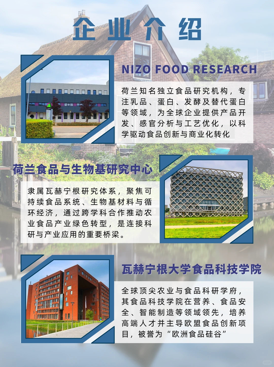 走进荷兰食品行业商务考察